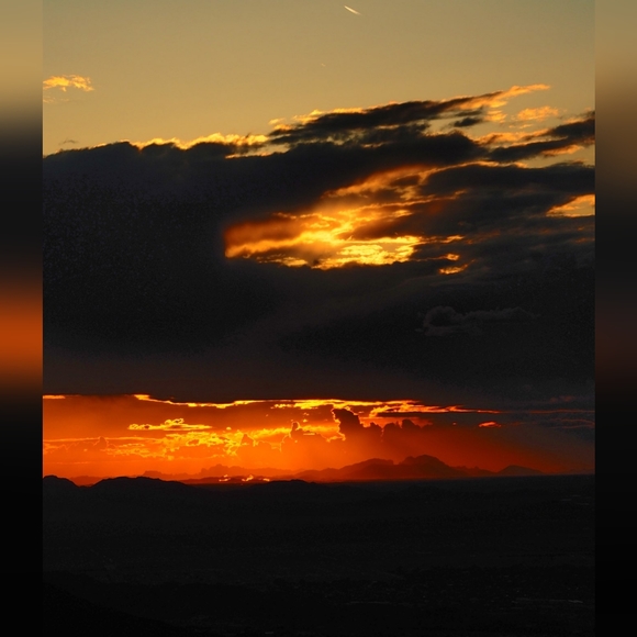 Meet your Posher, Tammy 💜🌷🙂 - Picture 1 of 4